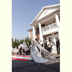 クリスマス・ウェディング | Peri Manis プリマニス