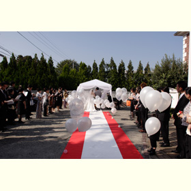 クリスマス・ウェディング | Peri Manis プリマニス